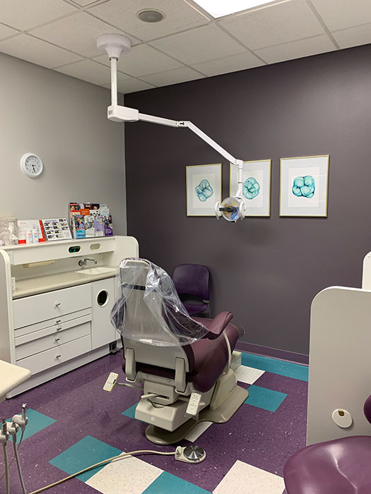 Cosmetic Dentist in Whiteland